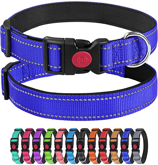 Adjustments Custom Nylon Pet Neoprene Padded Dog Collar