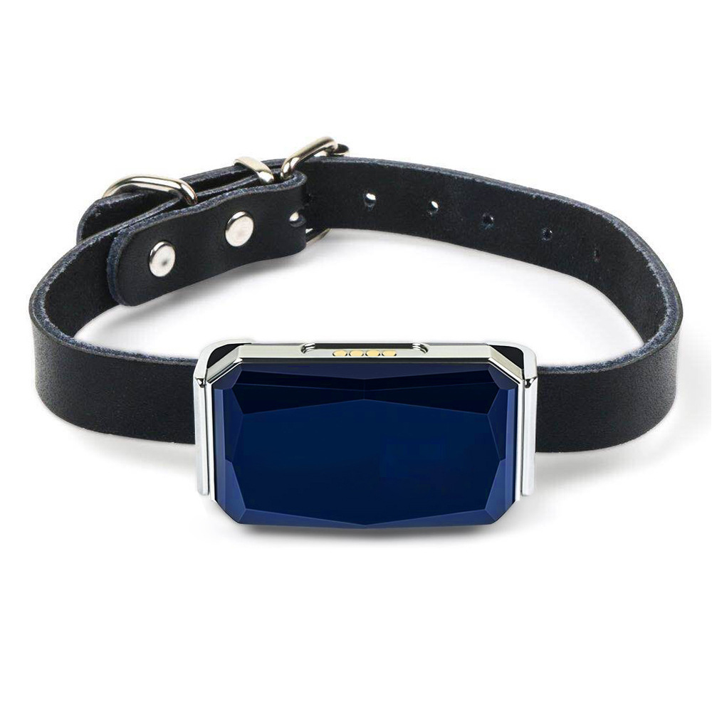 အပြင်ဘက်အဝေးမှကြိုးမဲ့ Bluetooth GPS ခြေရာခံ Dog Collar